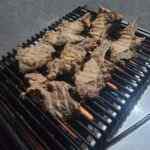 kebab grill machine